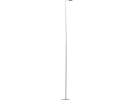 Royyo Silver with Brass Contemporary LED Floor Lamp with USB Port For Discount