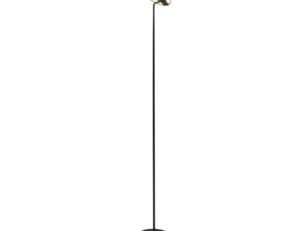 Royyo Matte Black with Matte Black Contemporary LED Floor Lamp with USB Port For Sale