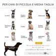 Easycomfort Brandina per Cani di Taglia Piccola e Media Rialzata, in Acciaio e Tessuto Traspirante, 111x65.5x19cm, Nero Online Sale