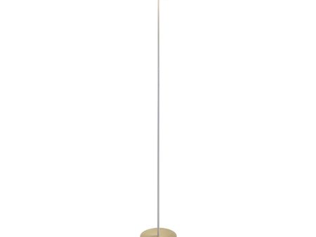 Royyo Matte White with Brass Contemporary LED Floor Lamp with USB Port For Sale